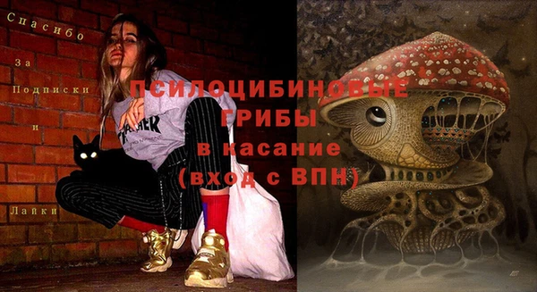 каннабис Бородино