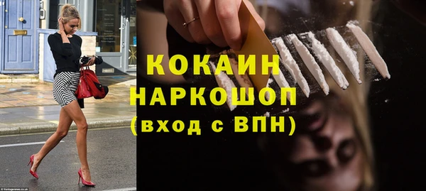 индика Верея